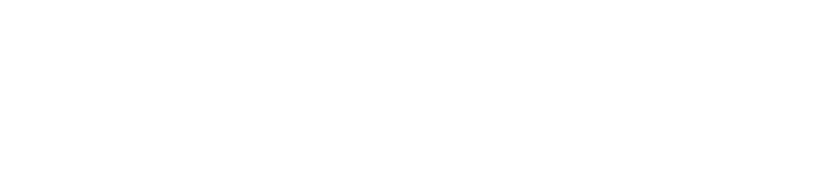 Fridom Tech Solutions